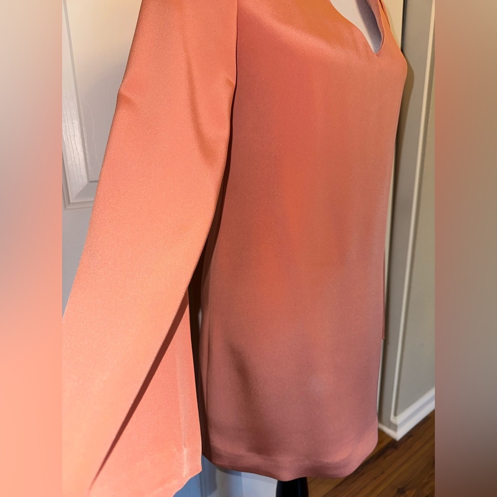Elizabeth and James Silk Shift Dress Size 2 Coral Minimalist Chic Quiet Luxury - Picture 4 of 11